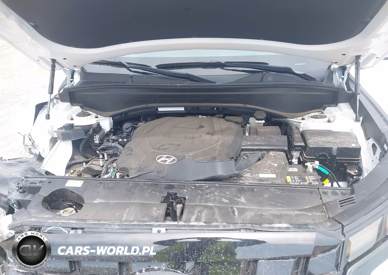 2025 Hyundai Palisade Sel VIN:KM8R24GE6SU933144 - 10