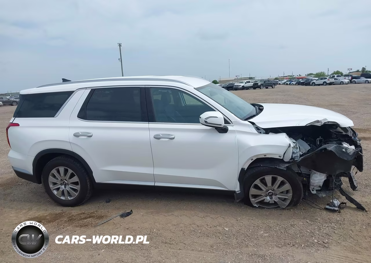 2025 Hyundai Palisade Sel VIN:KM8R24GE6SU933144 - 14