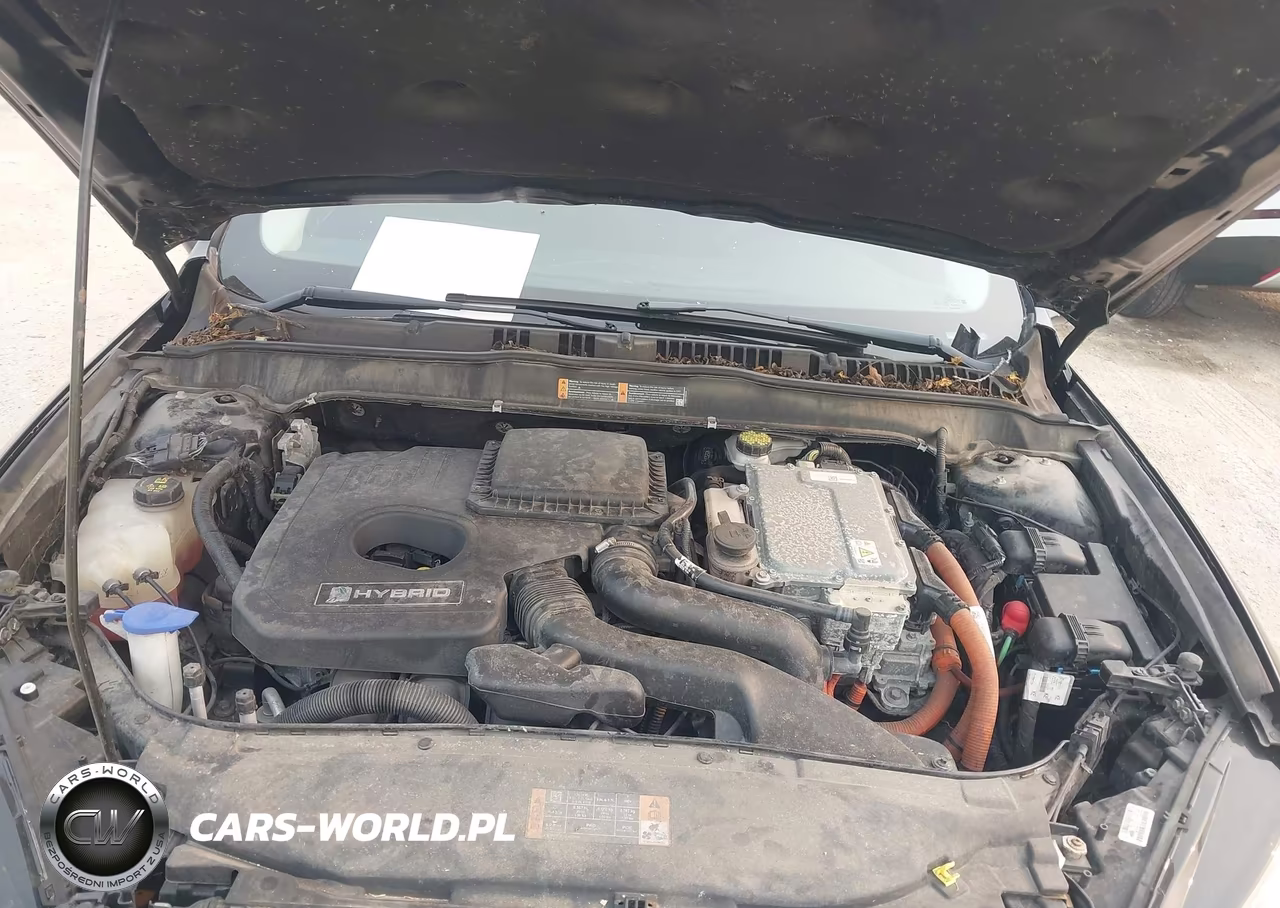 2016 Ford Fusion Hybrid Se VIN:3FA6P0LU6GR308276 - 10