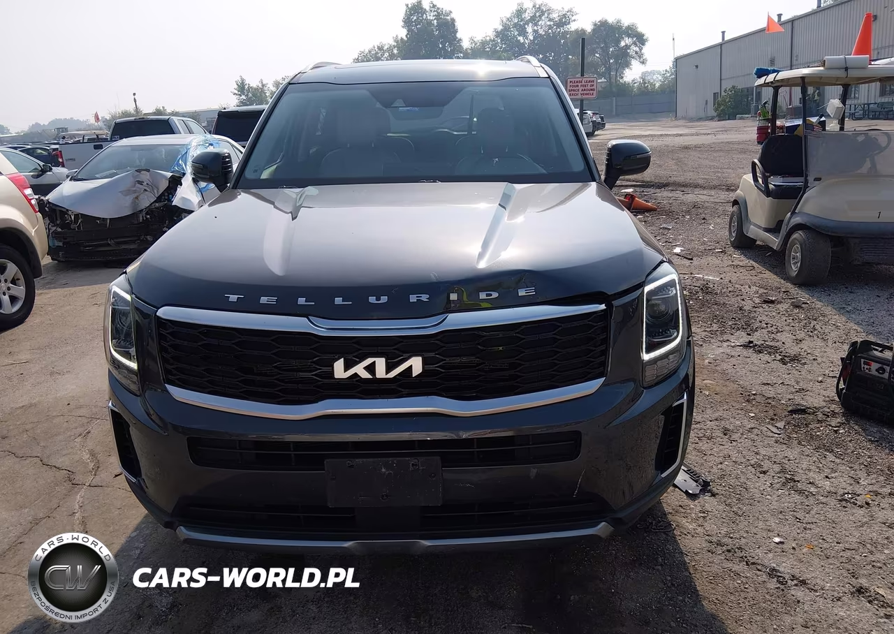 2022 Kia Telluride S VIN:5XYP6DHC8NG237565 - 12