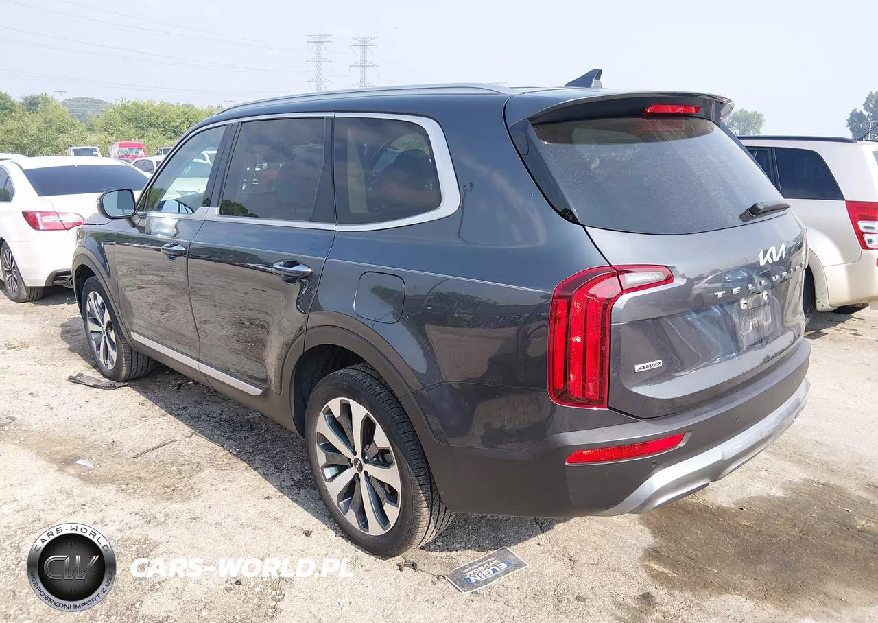 2022 Kia Telluride S VIN:5XYP6DHC8NG237565 - 3