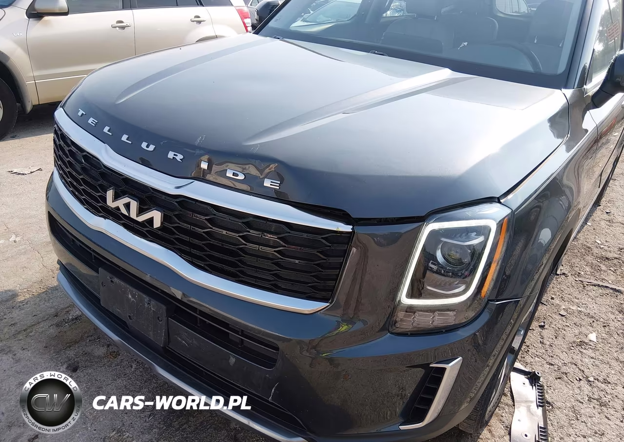 2022 Kia Telluride S VIN:5XYP6DHC8NG237565 - 6