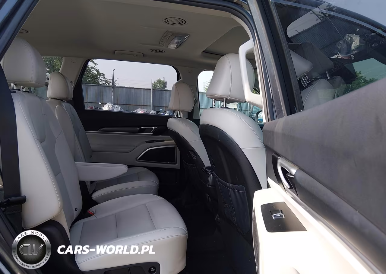 2022 Kia Telluride S VIN:5XYP6DHC8NG237565 - 8
