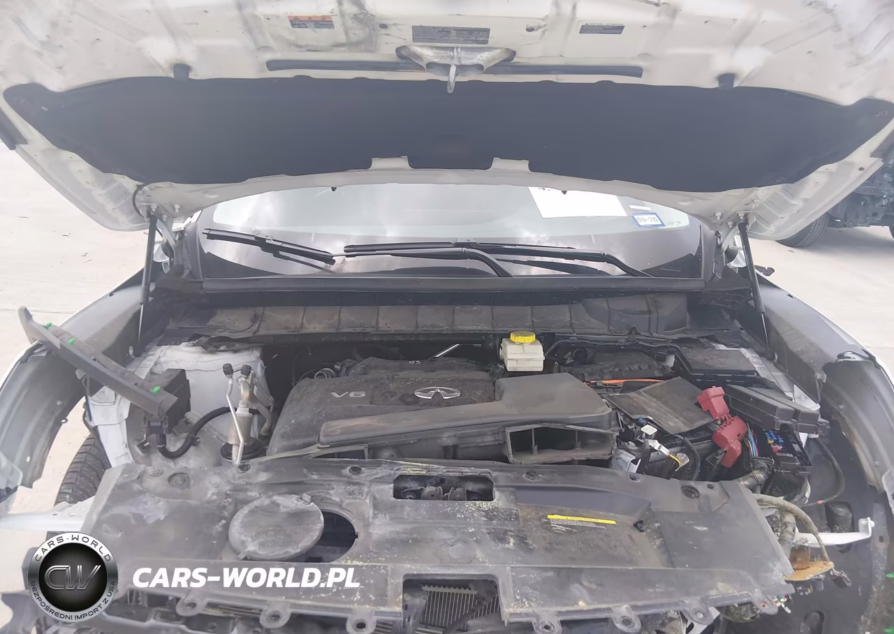 2024 Infiniti Qx60 Pure VIN:5N1DL1ER9RC358940 - 10