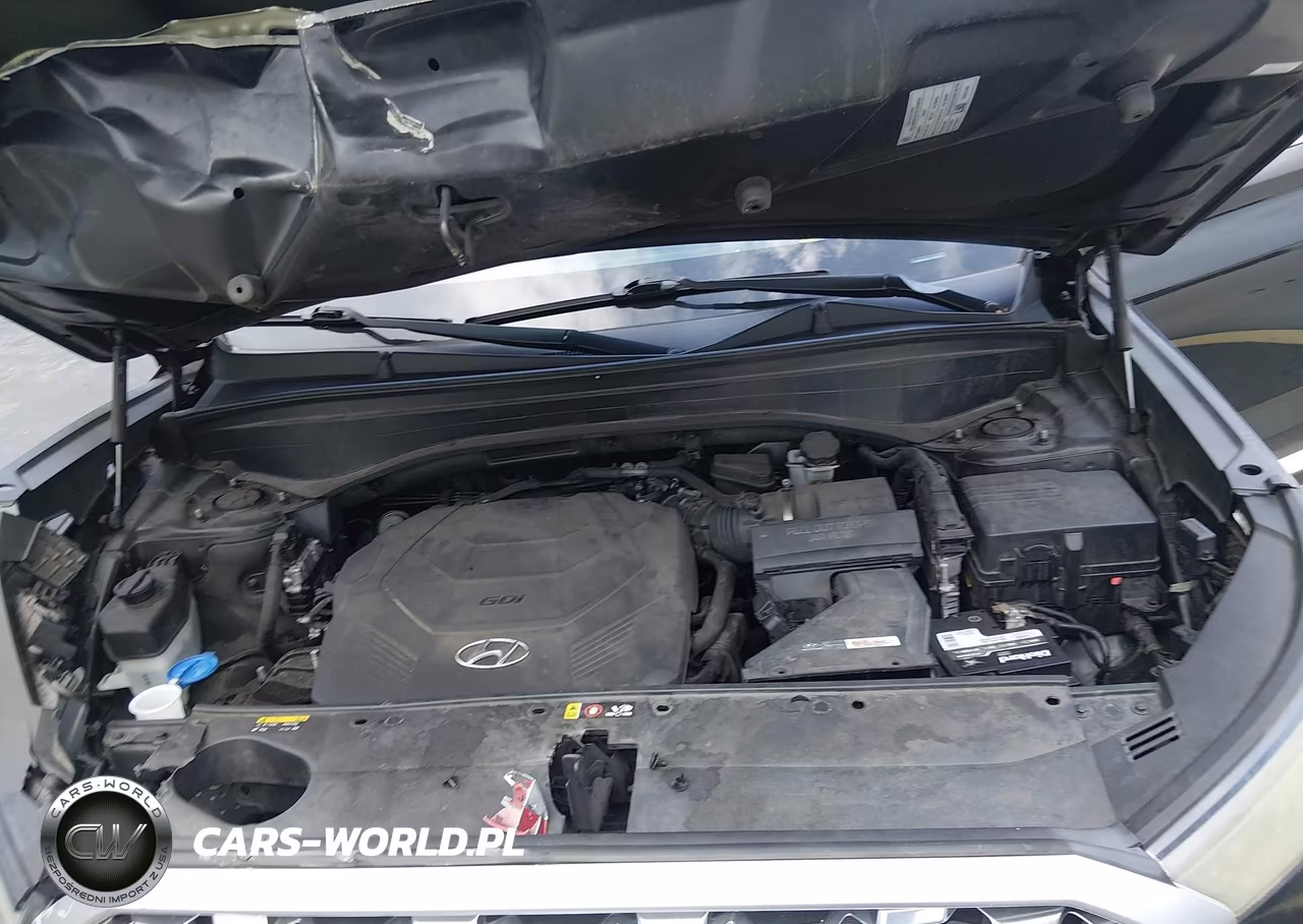 2020 Hyundai Palisade Sel VIN:KM8R34HE4LU074827 - 10