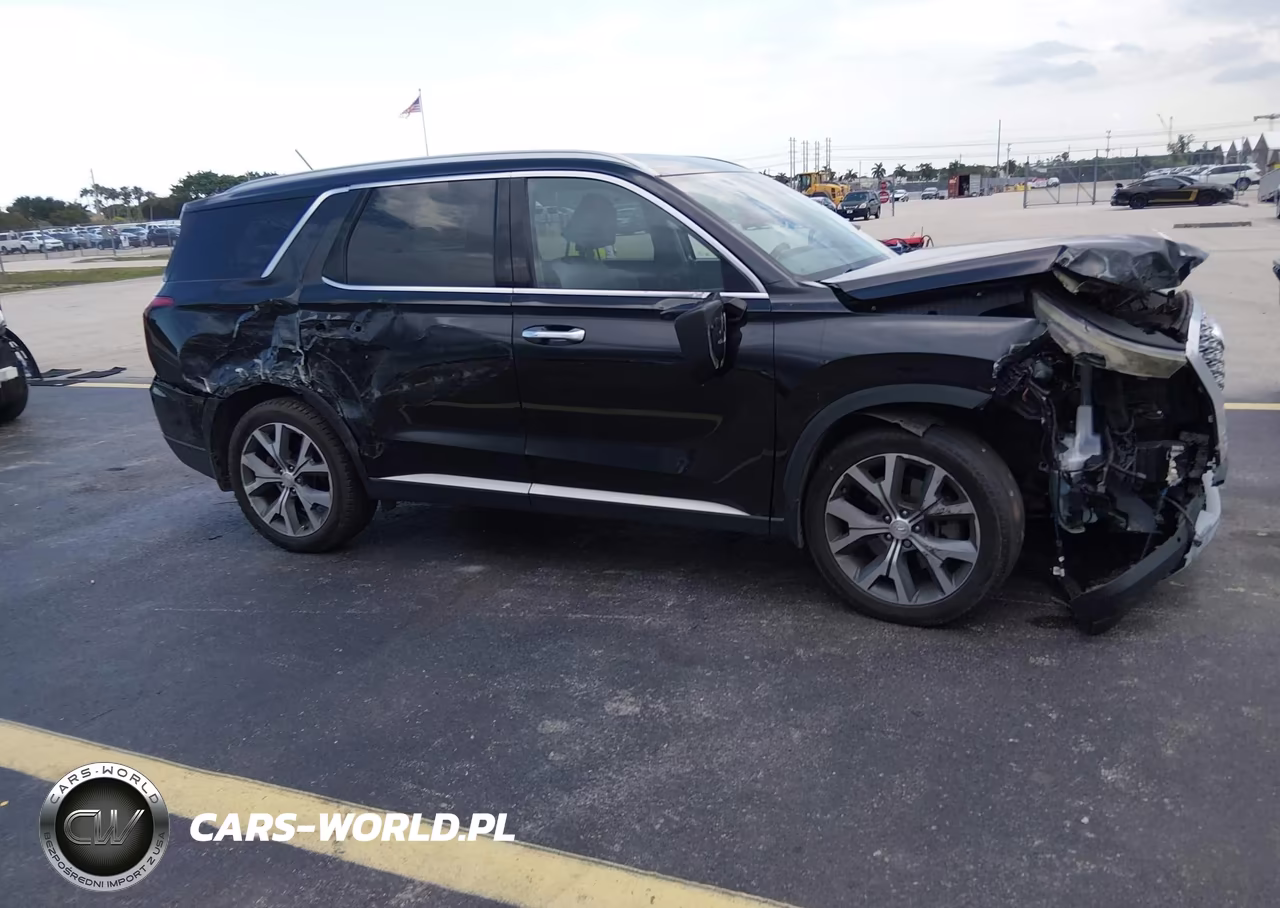 2020 Hyundai Palisade Sel VIN:KM8R34HE4LU074827 - 17