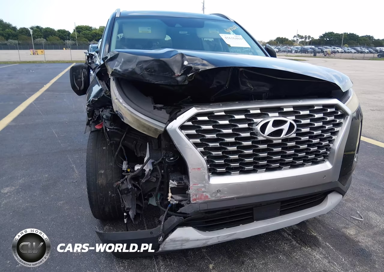 2020 Hyundai Palisade Sel VIN:KM8R34HE4LU074827 - 6
