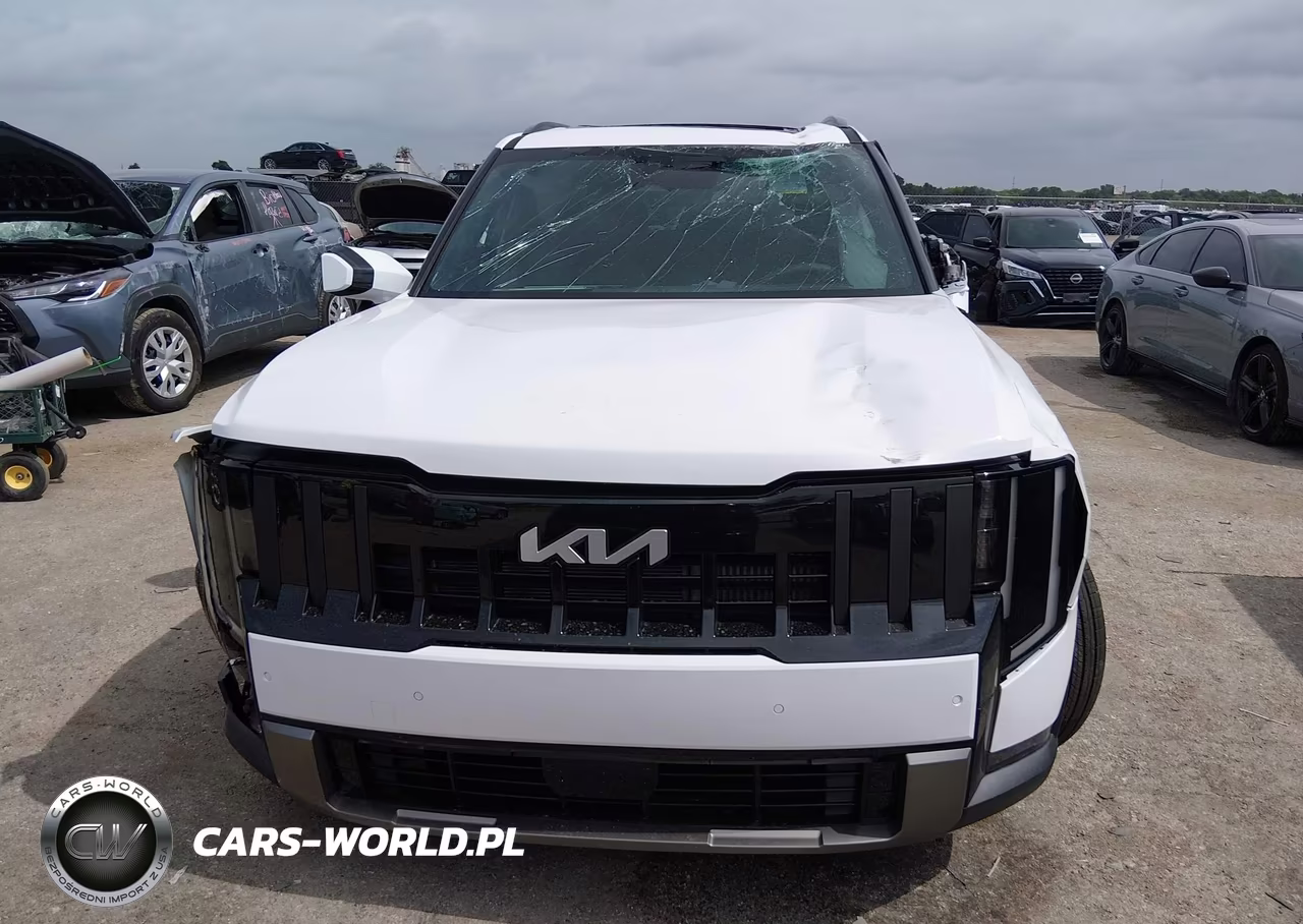 2027 Kia Telluride Ex VIN:5XYPC5S13VG037098 - 11