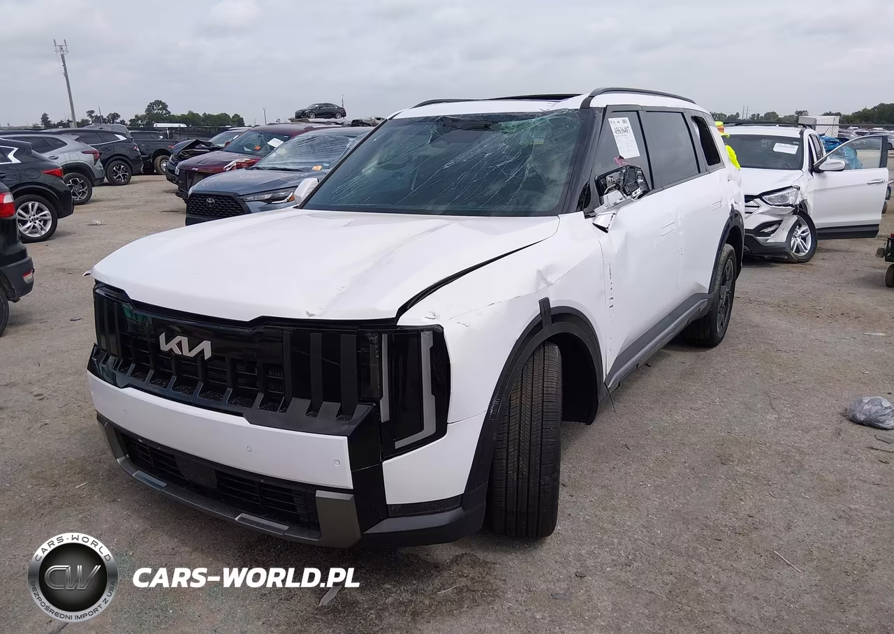2027 Kia Telluride Ex VIN:5XYPC5S13VG037098 - 6