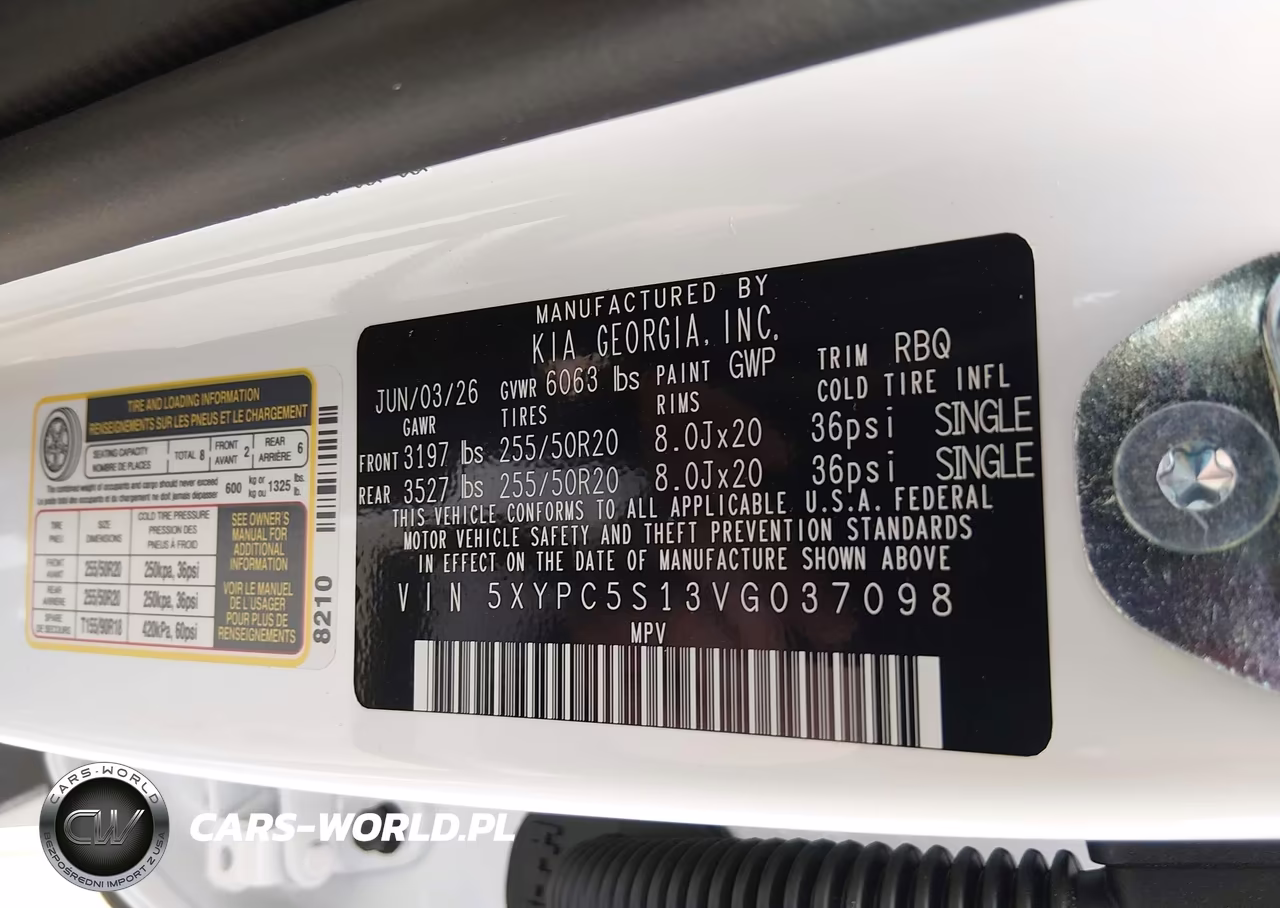 2027 Kia Telluride Ex VIN:5XYPC5S13VG037098 - 9