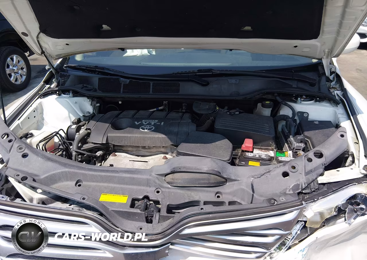 2009 Toyota Venza VIN:4T3ZE11AX9U018682 - 10
