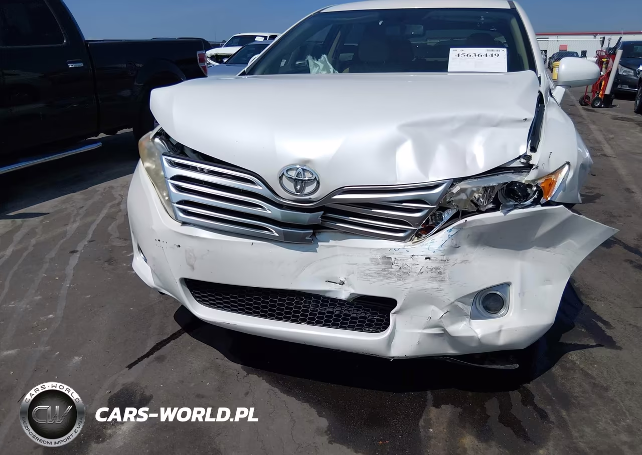 2009 Toyota Venza VIN:4T3ZE11AX9U018682 - 6