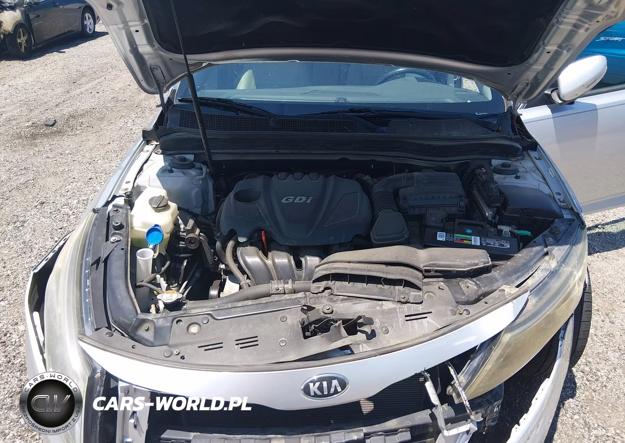 2015 Kia Optima Ex VIN:5XXGN4A7XFG384122 - 10