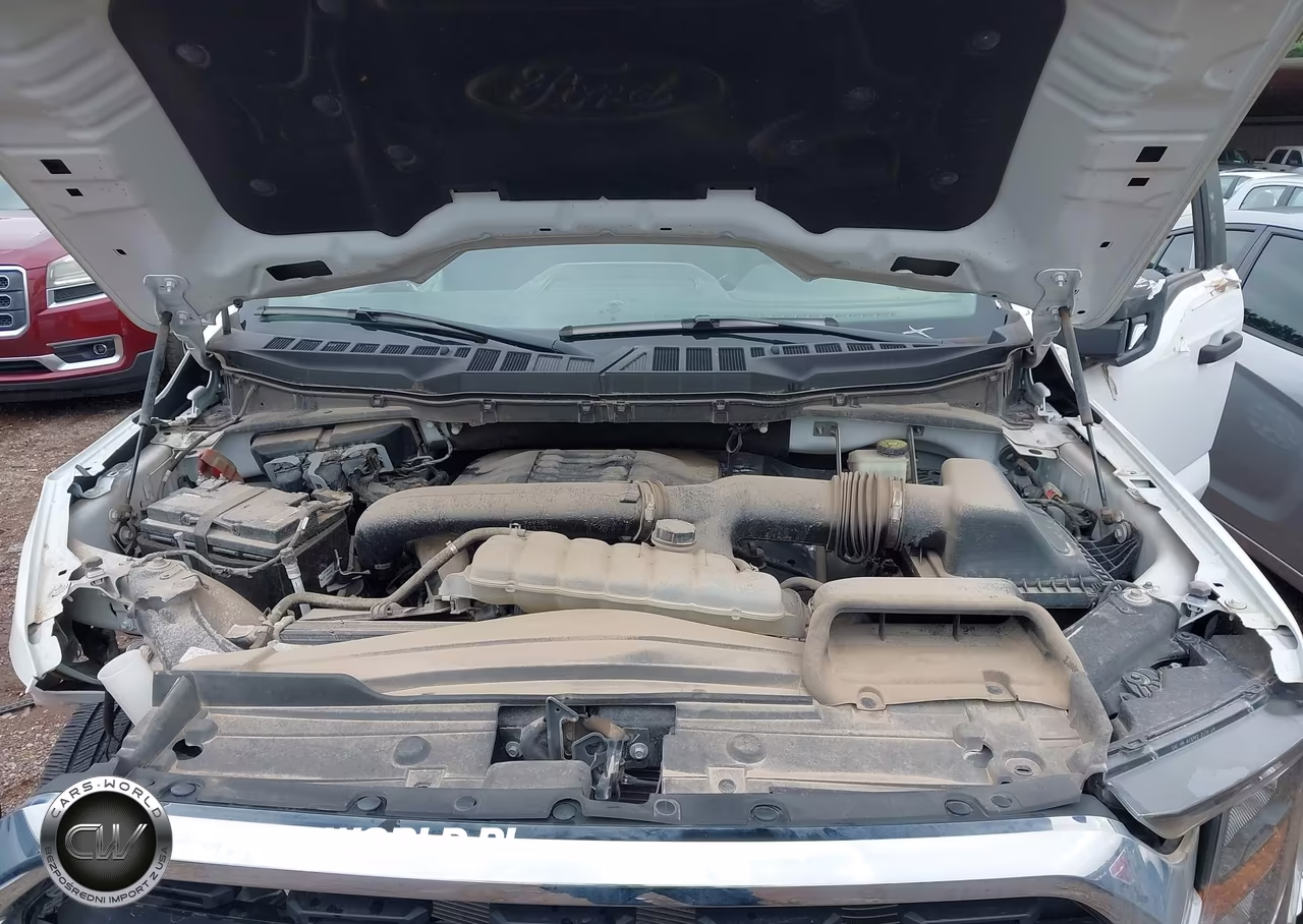 2023 Ford F-150 Xlt VIN:1FTEW1C82PKD62549 - 10