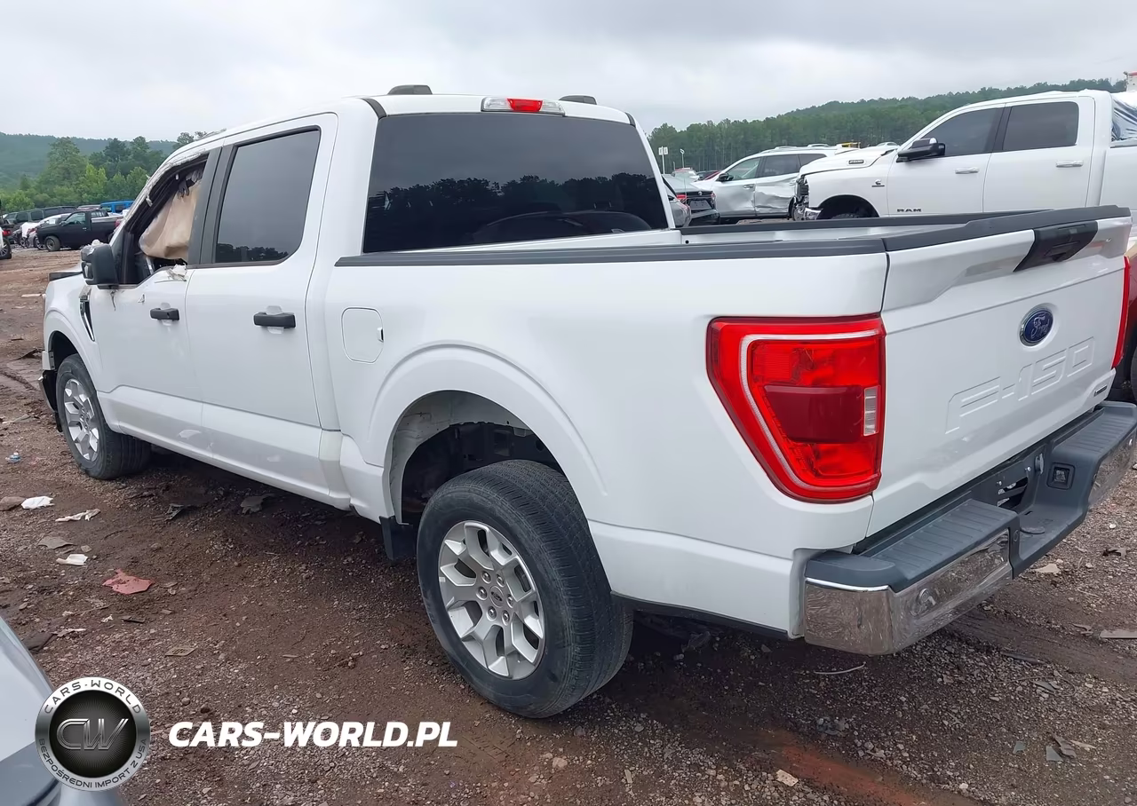 2023 Ford F-150 Xlt VIN:1FTEW1C82PKD62549 - 3