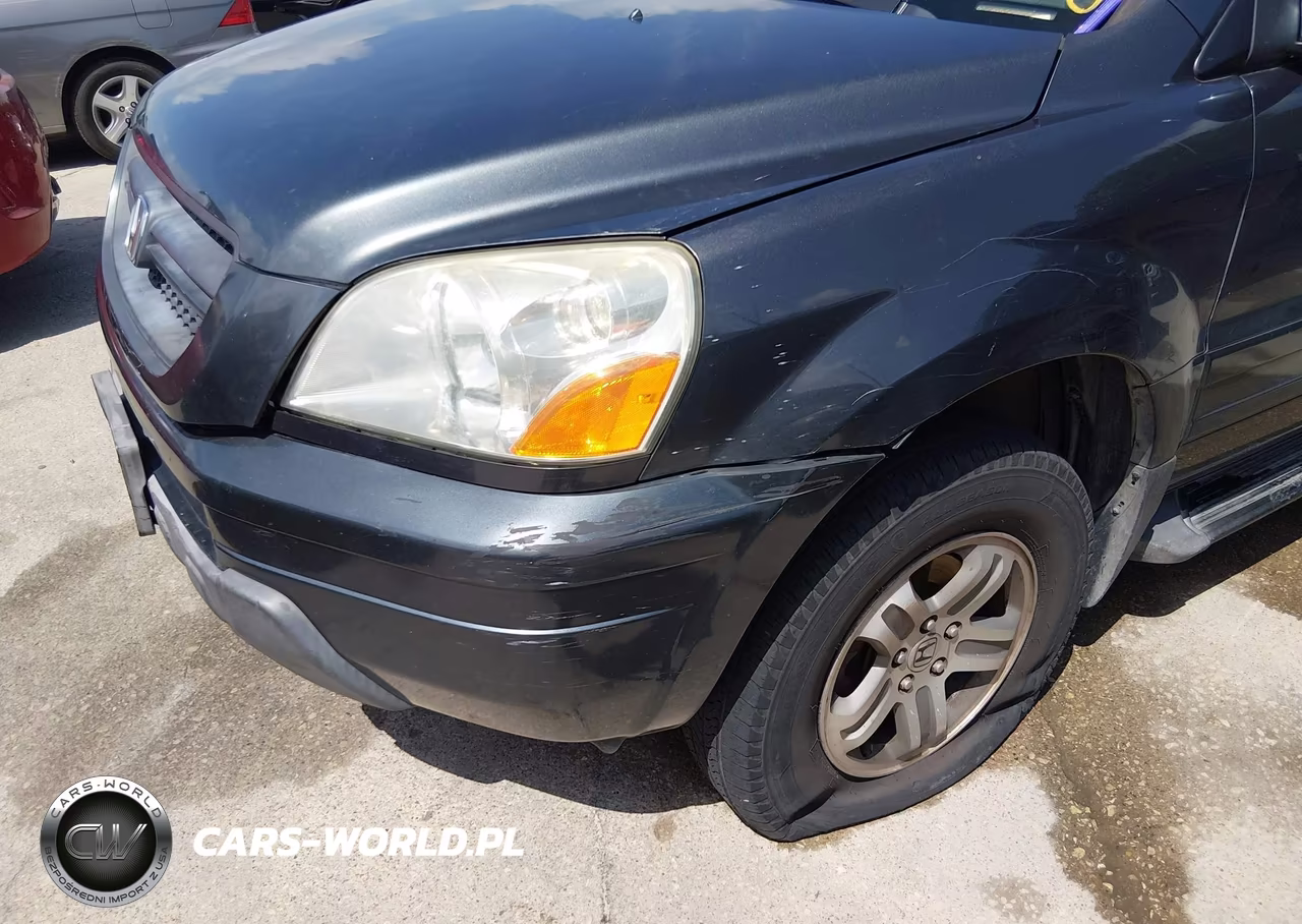 2003 Honda Pilot Ex-L VIN:2HKYF186X3H545324 - 6