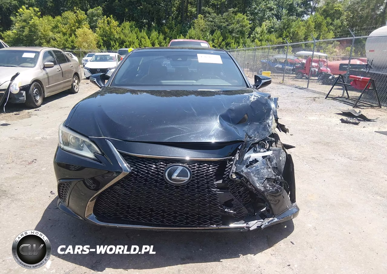 2019 Lexus Es 350 F Sport VIN:58ABZ1B18KU039204 - 13