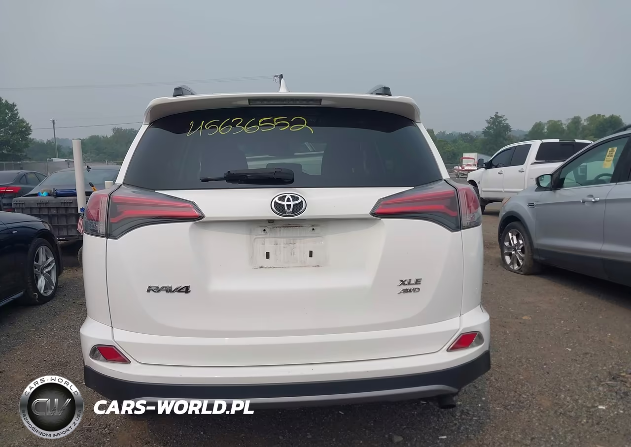 2017 Toyota Rav4 Xle VIN:2T3RFREVXHW693648 - 16