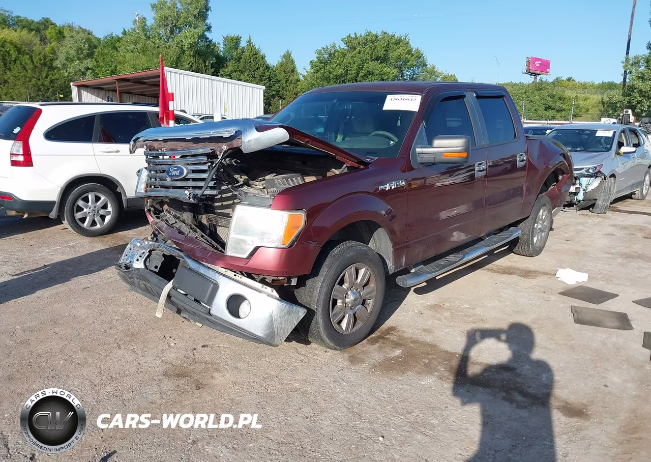 2010 Ford F-150 Fx2 Sport-Harley-Davidson-King Ranch-Lariat-Platinum-Xl-Xlt VIN:1FTFW1CV5AKA74719 - 2