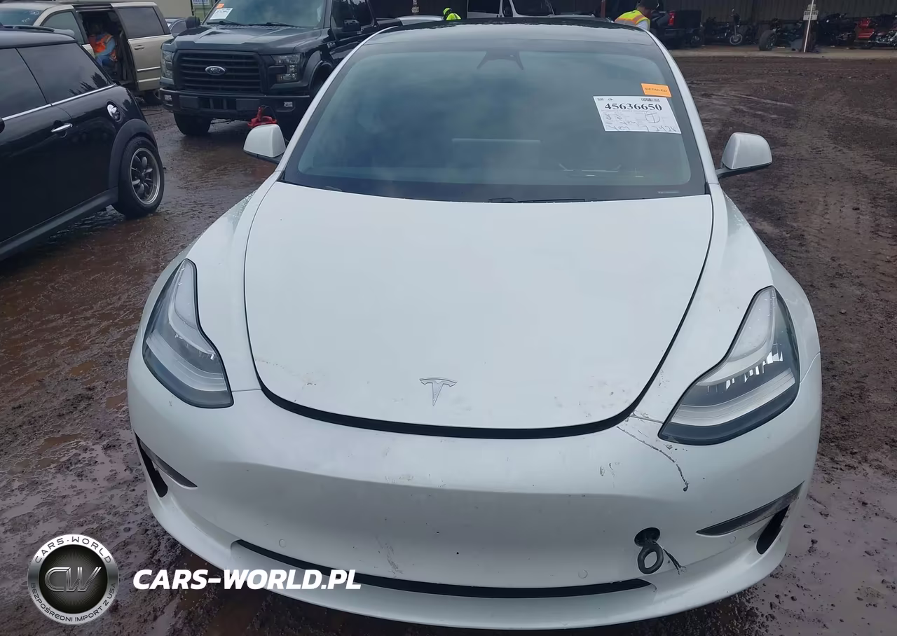 2021 Tesla Model 3 Long Range Dual Motor All-Wheel Drive VIN:5YJ3E1EB3MF852896 - 11