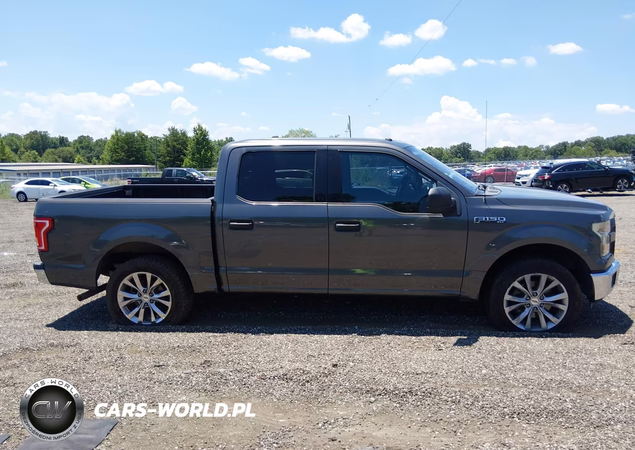 2016 Ford F-150 Xlt VIN:1FTEW1C80GKD80404 - 13