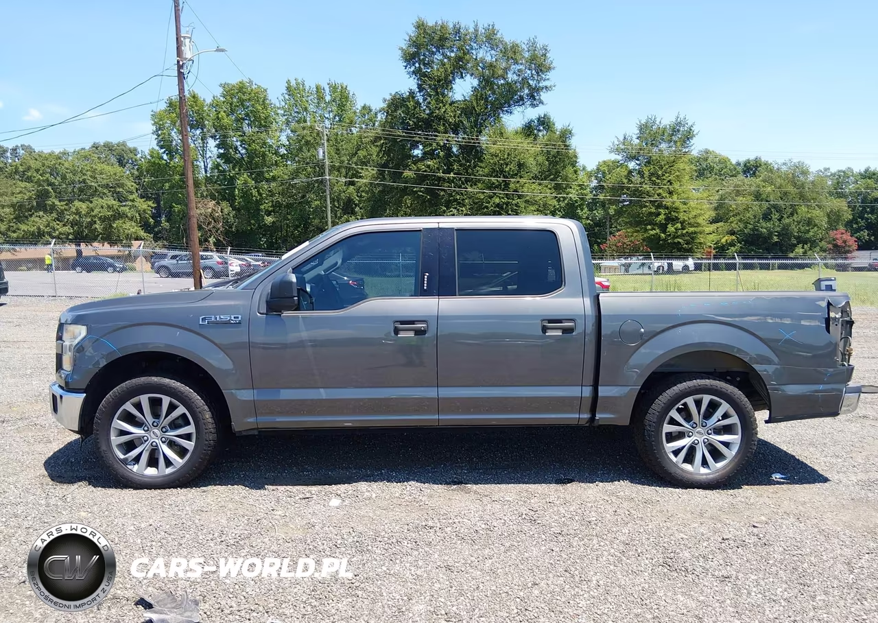 2016 Ford F-150 Xlt VIN:1FTEW1C80GKD80404 - 14