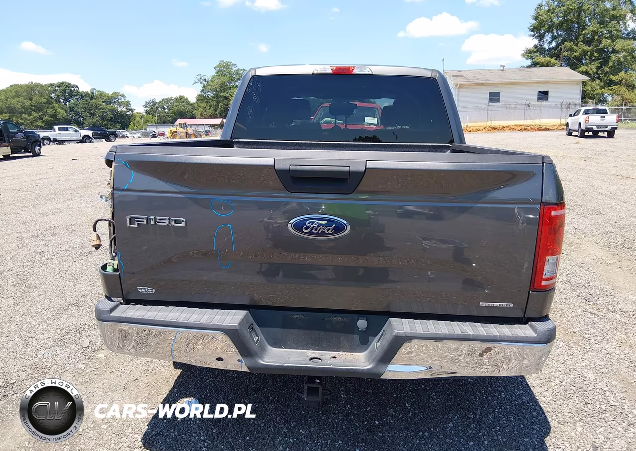2016 Ford F-150 Xlt VIN:1FTEW1C80GKD80404 - 16