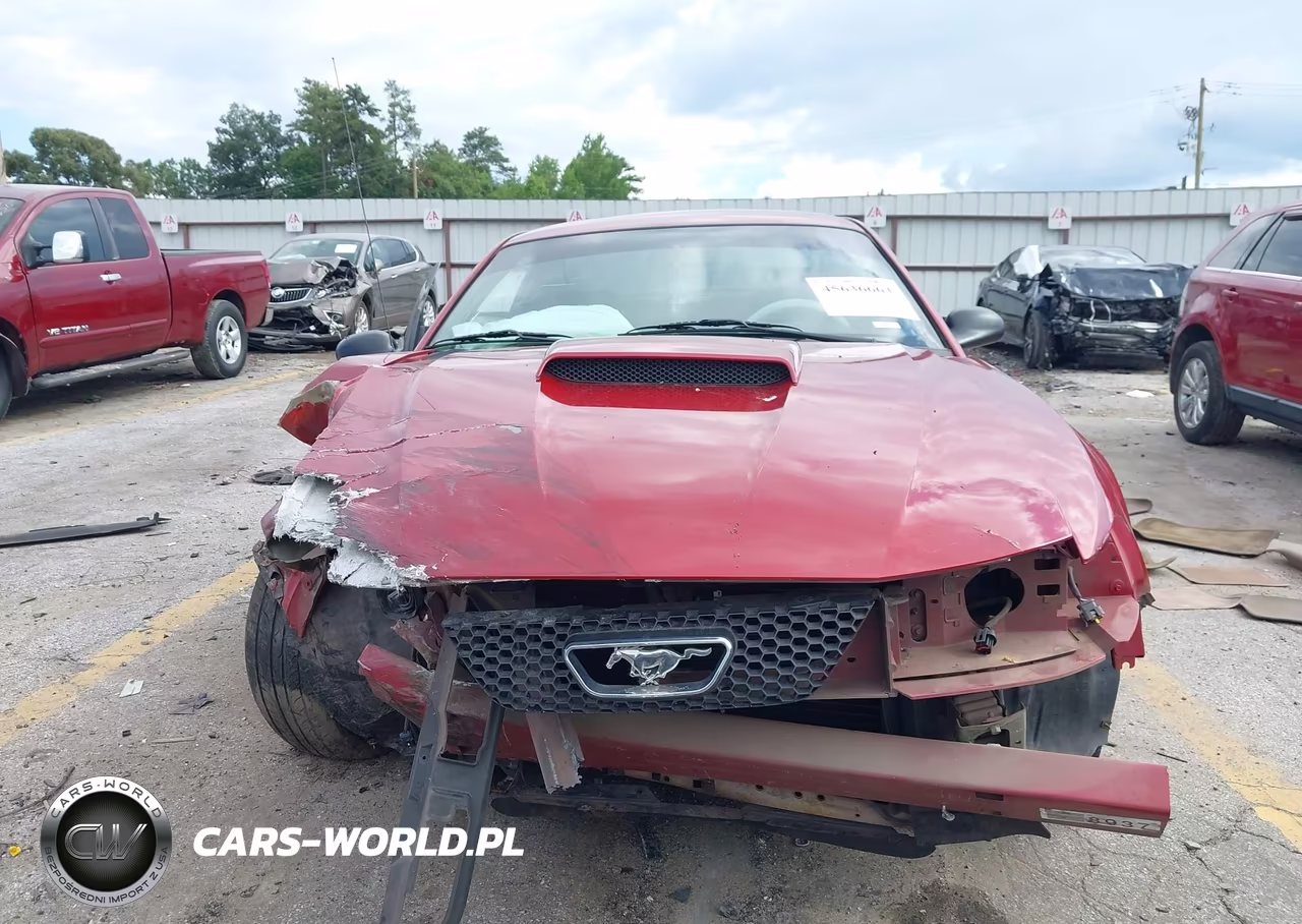 2001 Ford Mustang Gt VIN:1FAFP42X21F255714 - 11