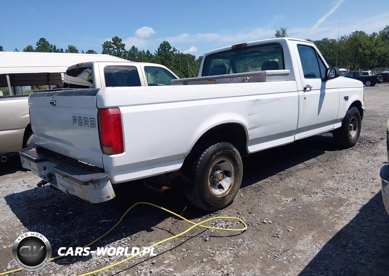 1994 Ford F150 VIN:1FTEF15Y6RNB78617 - 4