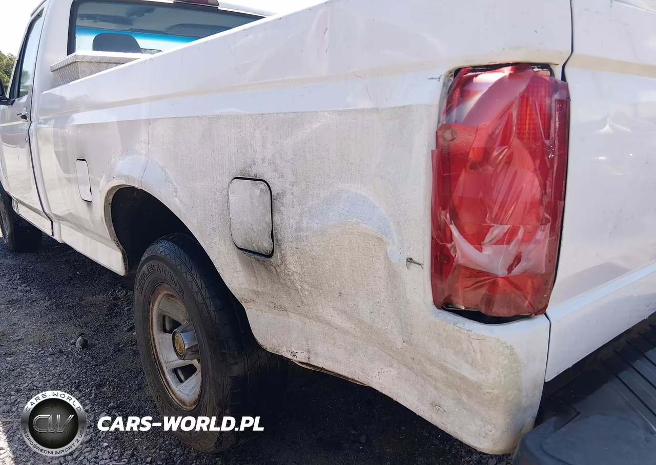 1994 Ford F150 VIN:1FTEF15Y6RNB78617 - 6