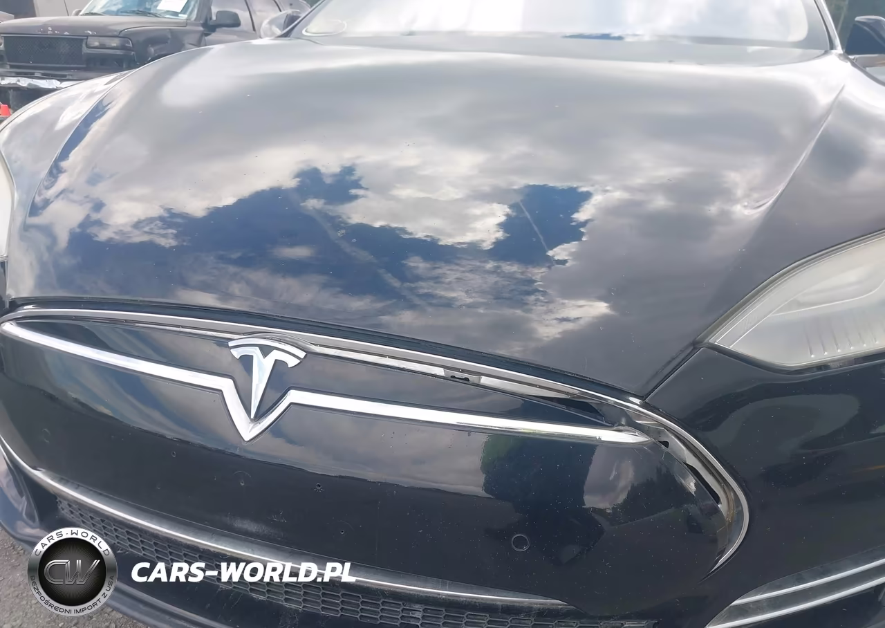 2014 Tesla Model S VIN:5YJSA1H16EFP45613 - 10
