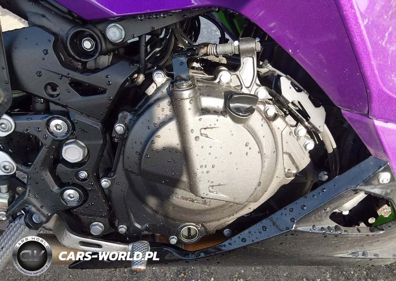 2025 Kawasaki Ex500 A-B VIN:ML5EXGJ19SDA50888 - 8