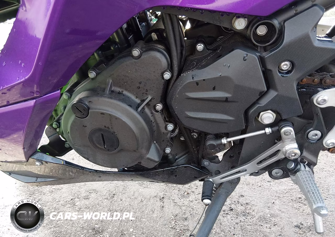 2025 Kawasaki Ex500 A-B VIN:ML5EXGJ19SDA50888 - 9
