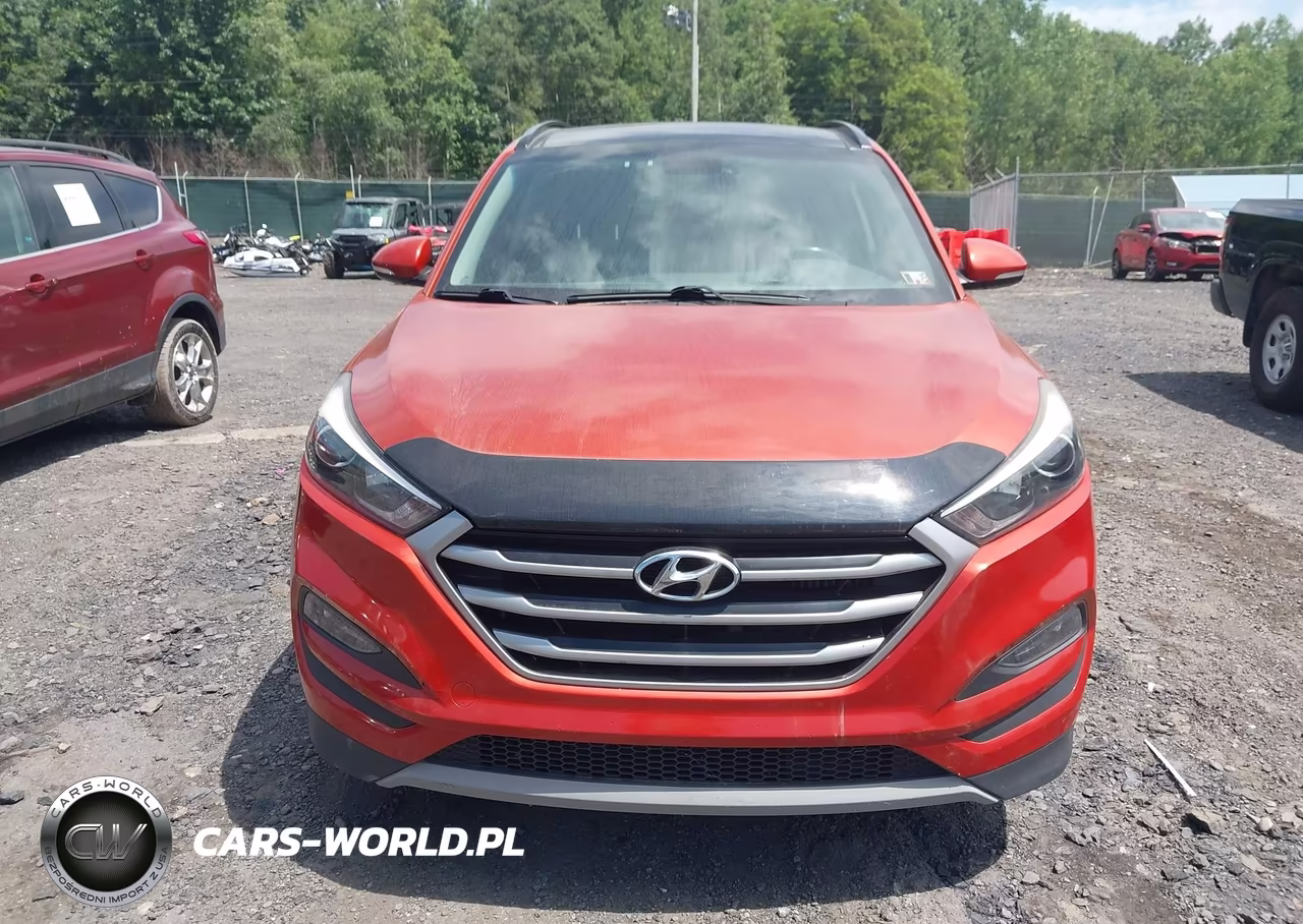 2017 Hyundai Tucson Value VIN:KM8J3CA24HU557345 - 12