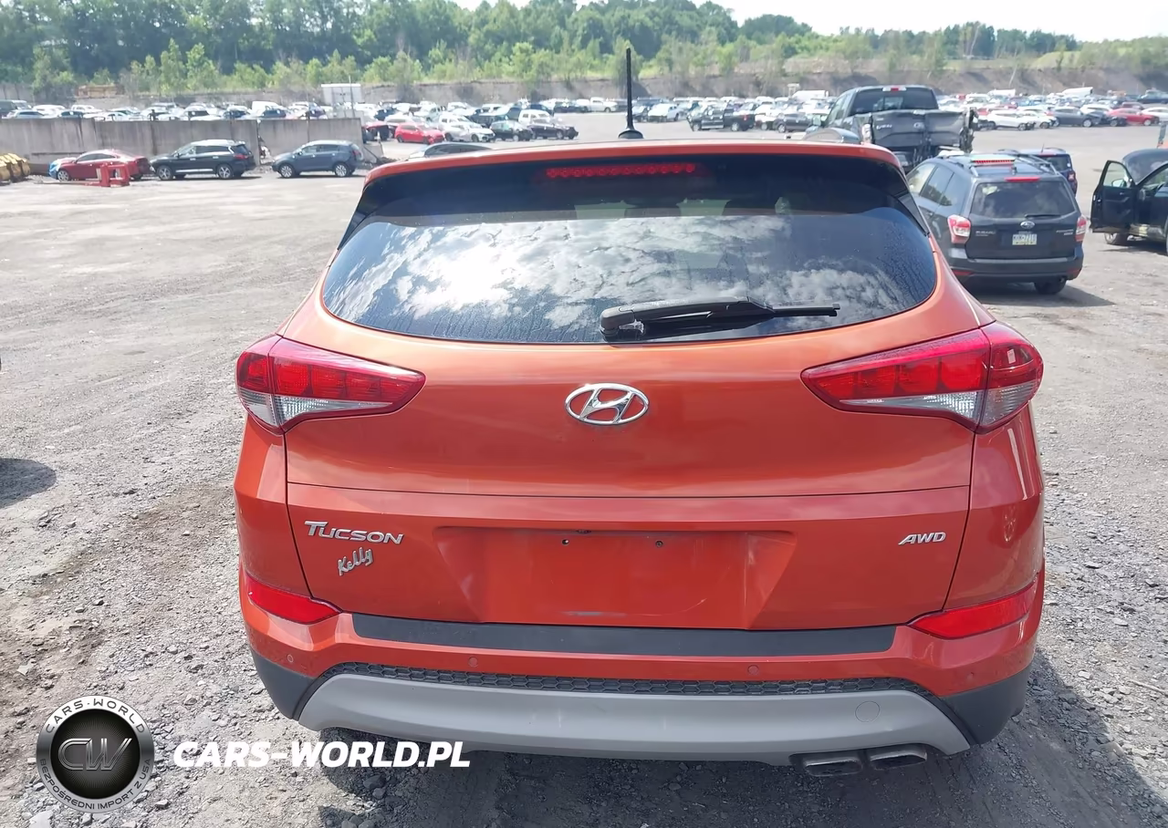 2017 Hyundai Tucson Value VIN:KM8J3CA24HU557345 - 16