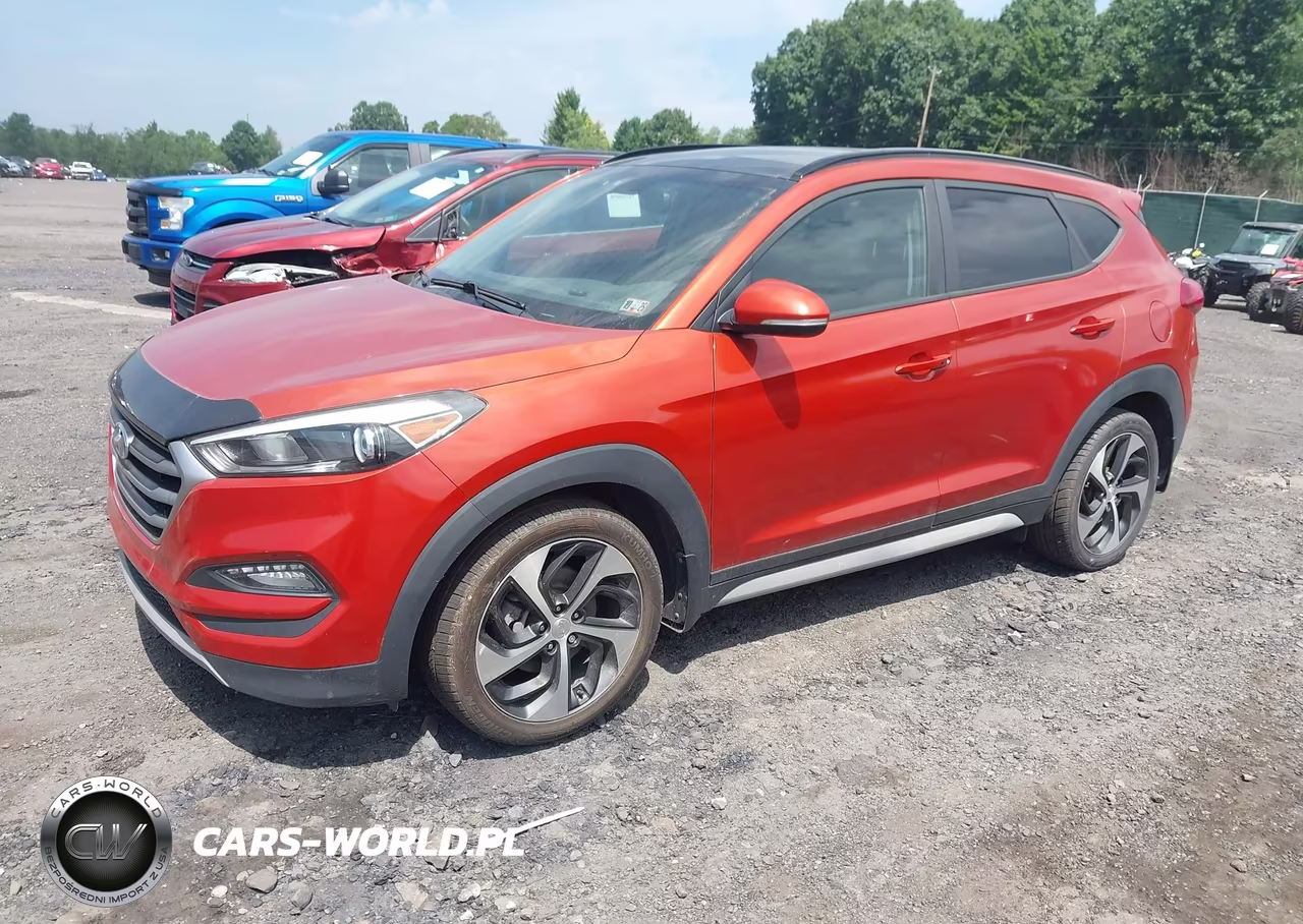2017 Hyundai Tucson Value VIN:KM8J3CA24HU557345 - 2