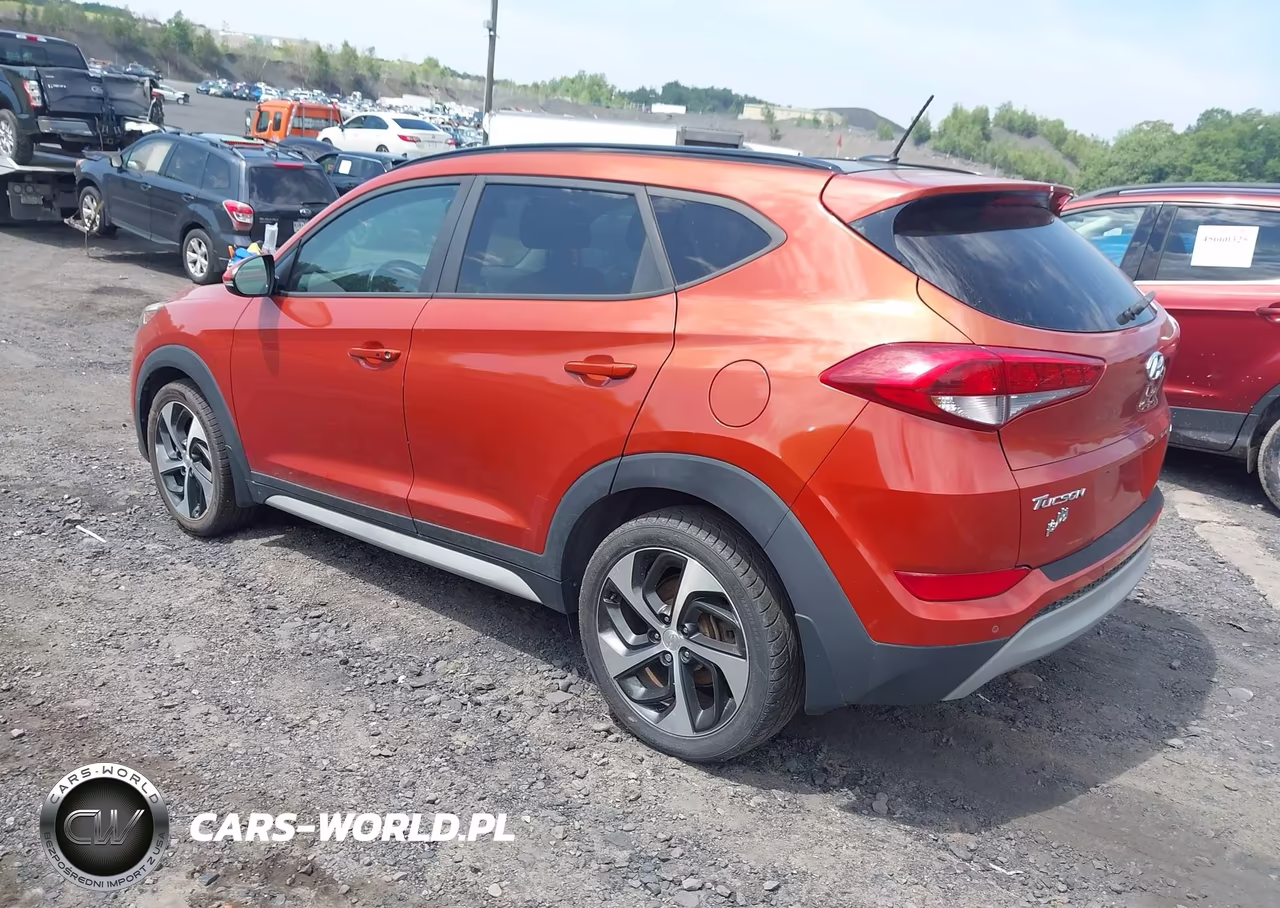2017 Hyundai Tucson Value VIN:KM8J3CA24HU557345 - 3