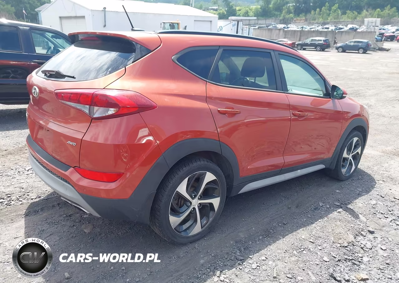 2017 Hyundai Tucson Value VIN:KM8J3CA24HU557345 - 4