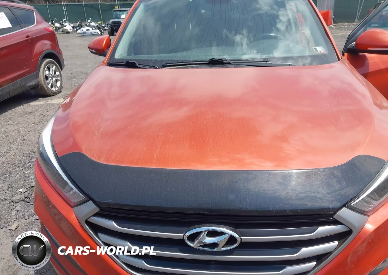 2017 Hyundai Tucson Value VIN:KM8J3CA24HU557345 - 6