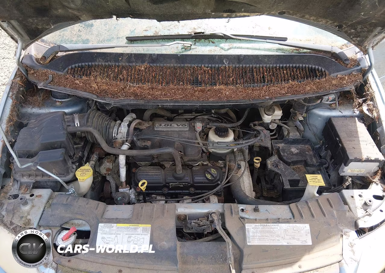 2006 Dodge Grand Caravan Sxt VIN:2D4GP44L26R773589 - 10