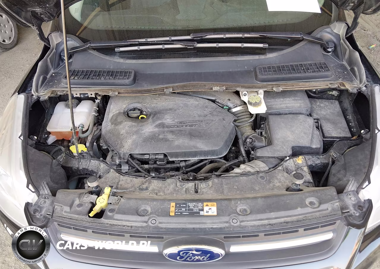 2014 Ford Escape Se VIN:1FMCU9GX0EUB31076 - 10