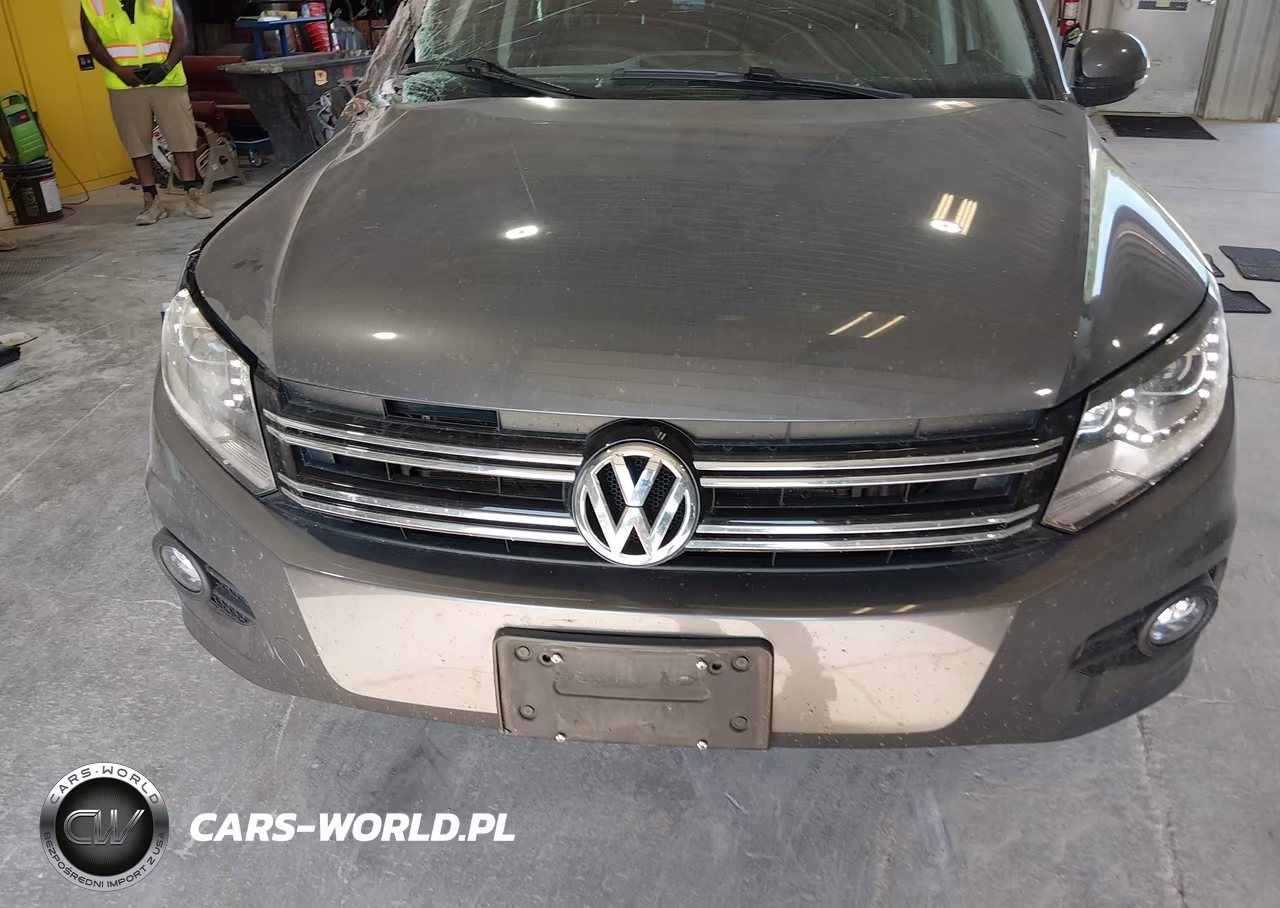 2016 Volkswagen Tiguan Se VIN:WVGBV7AXXGW522927 - 12