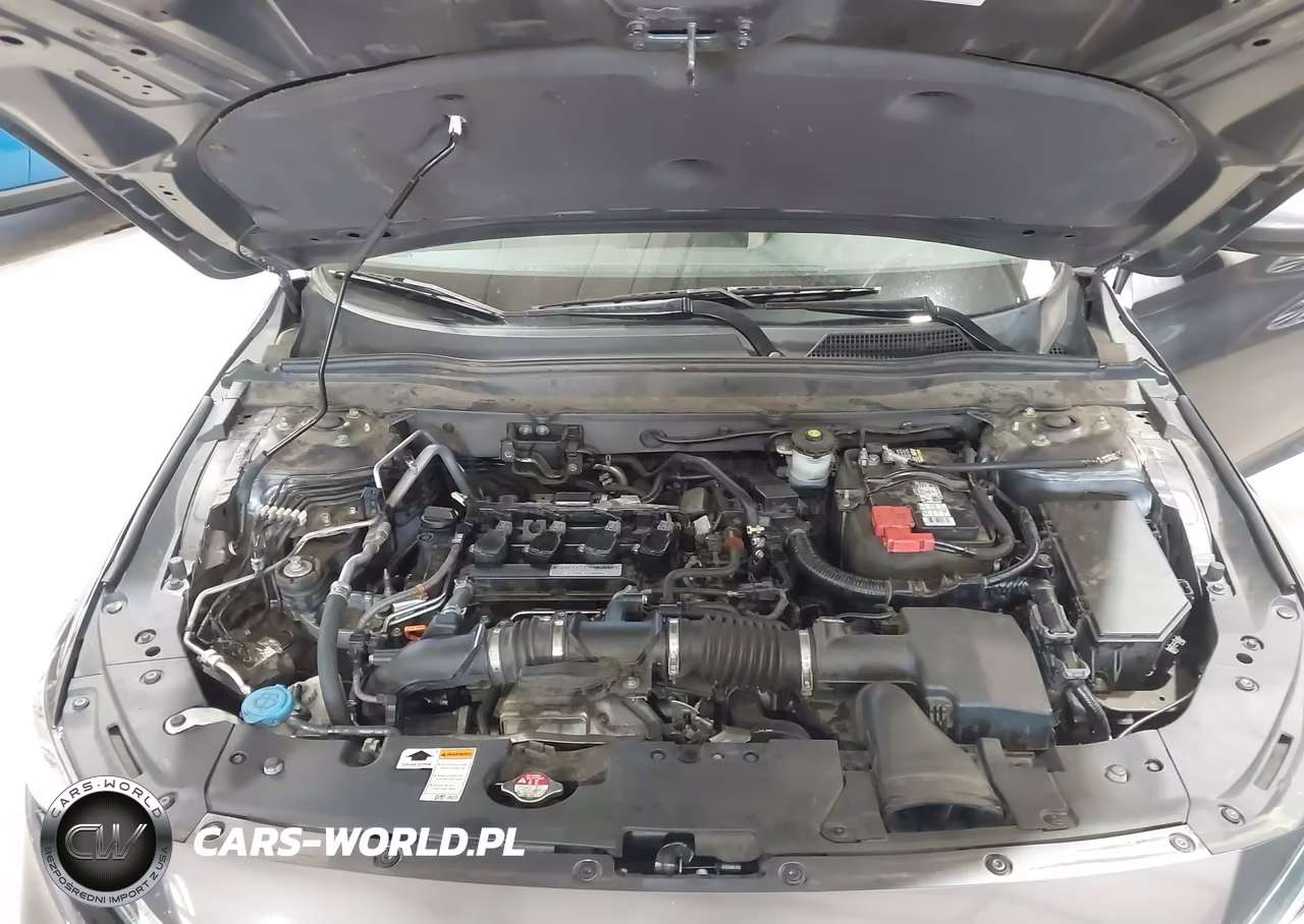 2019 Honda Accord Lx VIN:1HGCV1F10KA080628 - 10