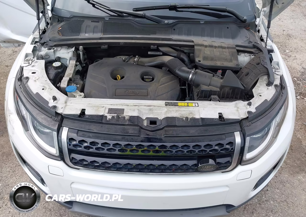 2017 Land Rover Range Rover Evoque Se-Se Premium VIN:SALVP2BG3HH249552 - 10