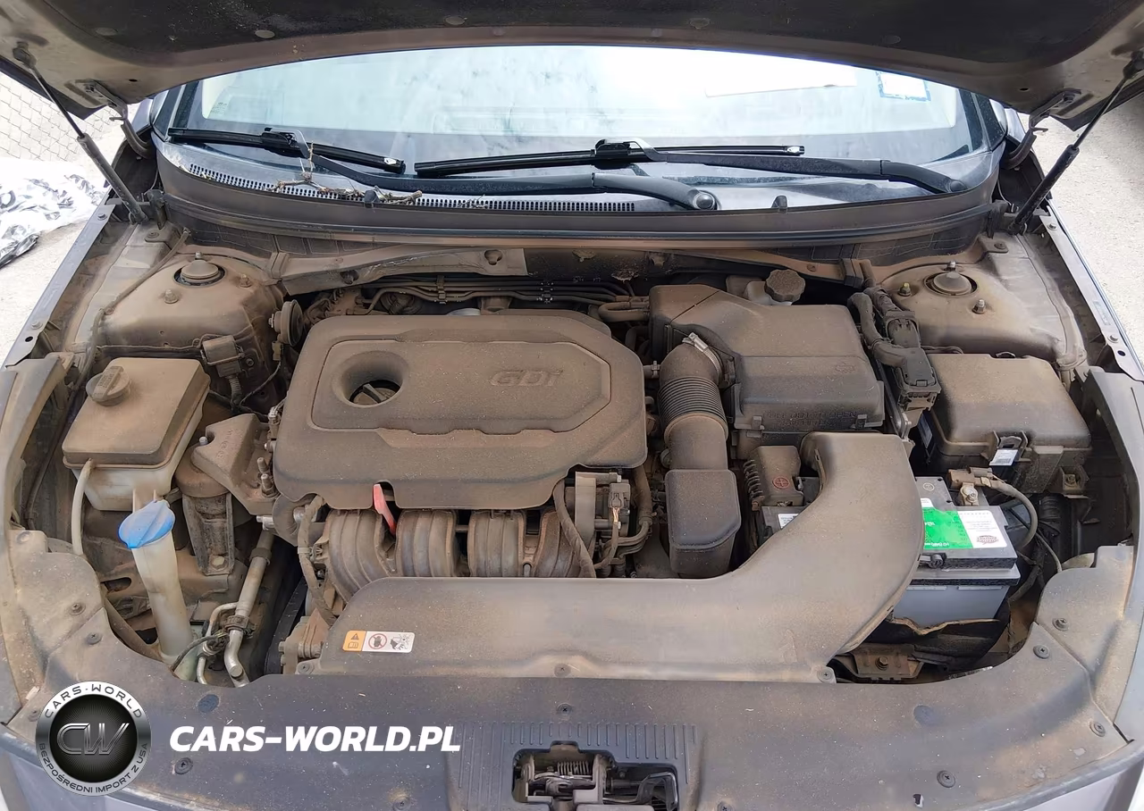2015 Hyundai Sonata Se VIN:5NPE24AF4FH253800 - 10