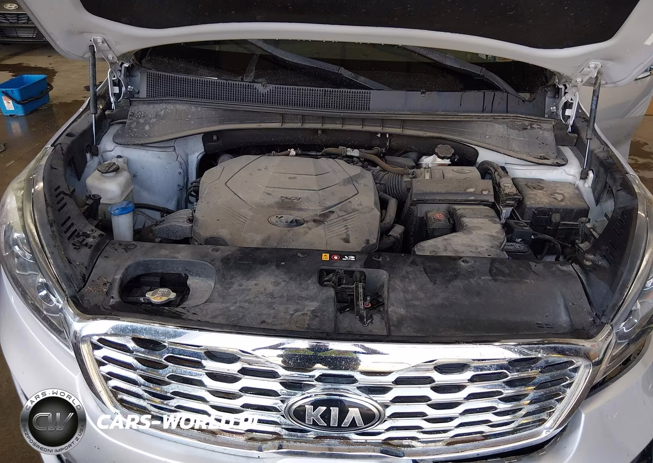 2019 Kia Sorento 3.3L Lx VIN:5XYPGDA58KG506779 - 10