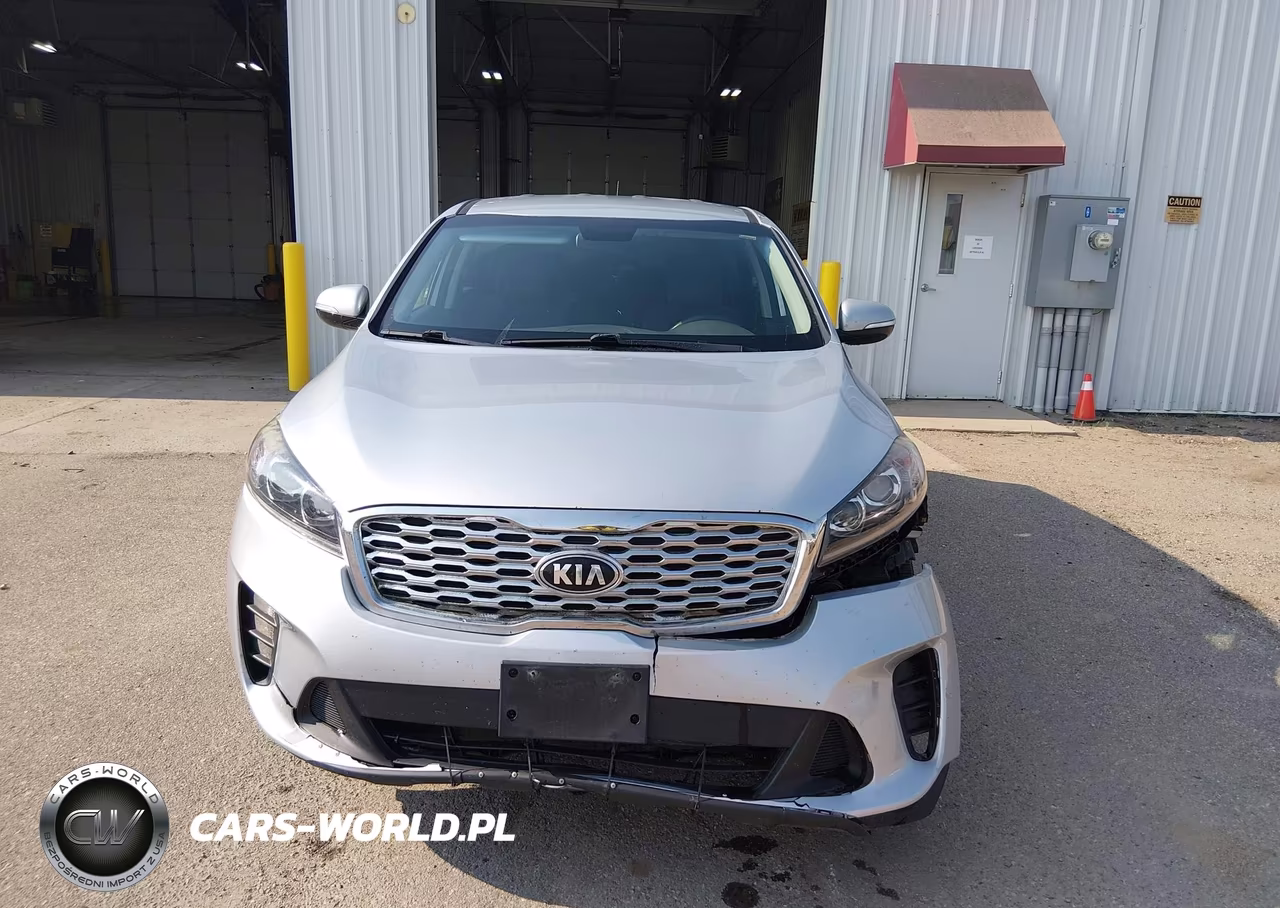 2019 Kia Sorento 3.3L Lx VIN:5XYPGDA58KG506779 - 12