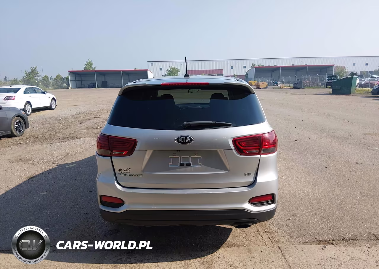 2019 Kia Sorento 3.3L Lx VIN:5XYPGDA58KG506779 - 16