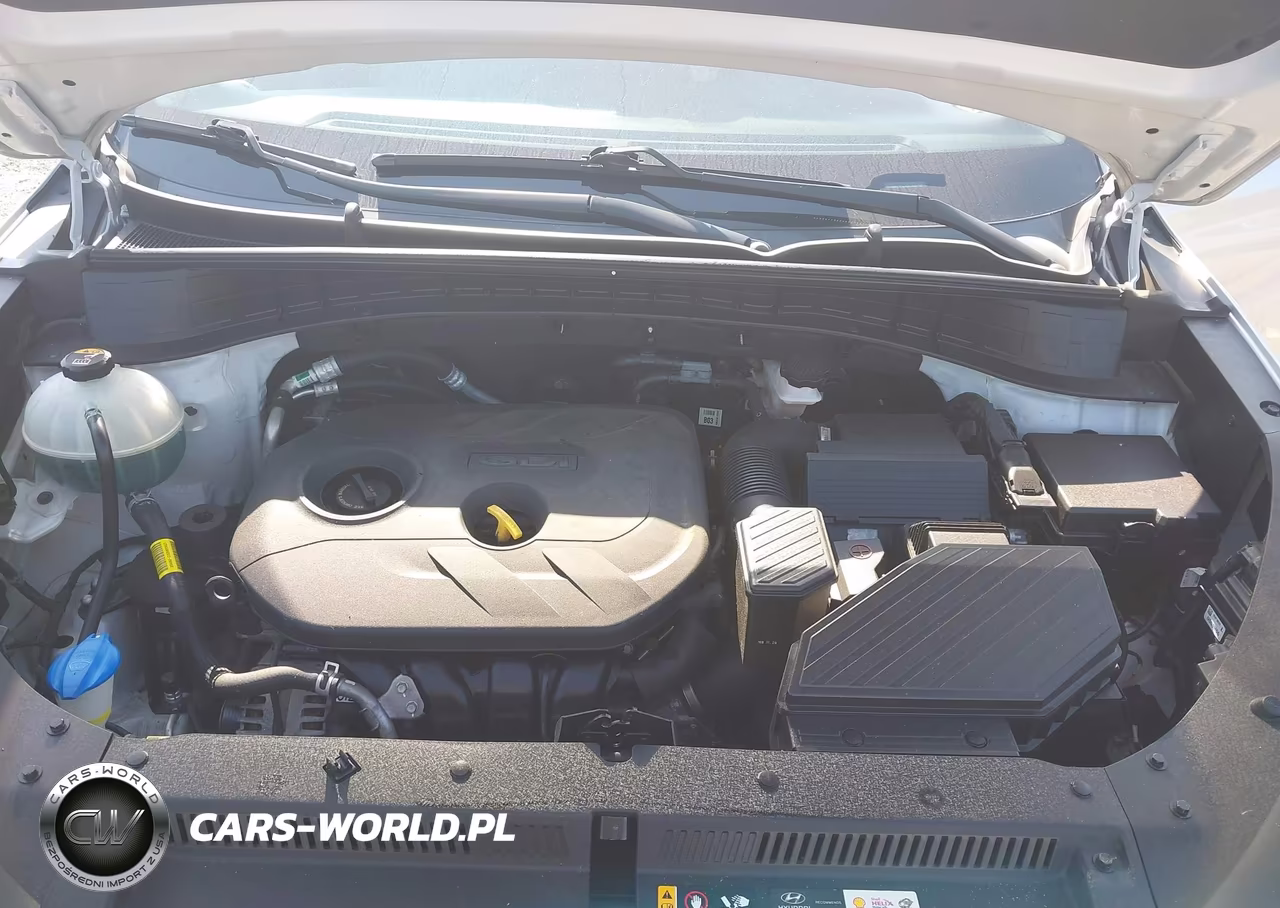2019 Hyundai Tucson Se VIN:KM8J2CA45KU892223 - 10