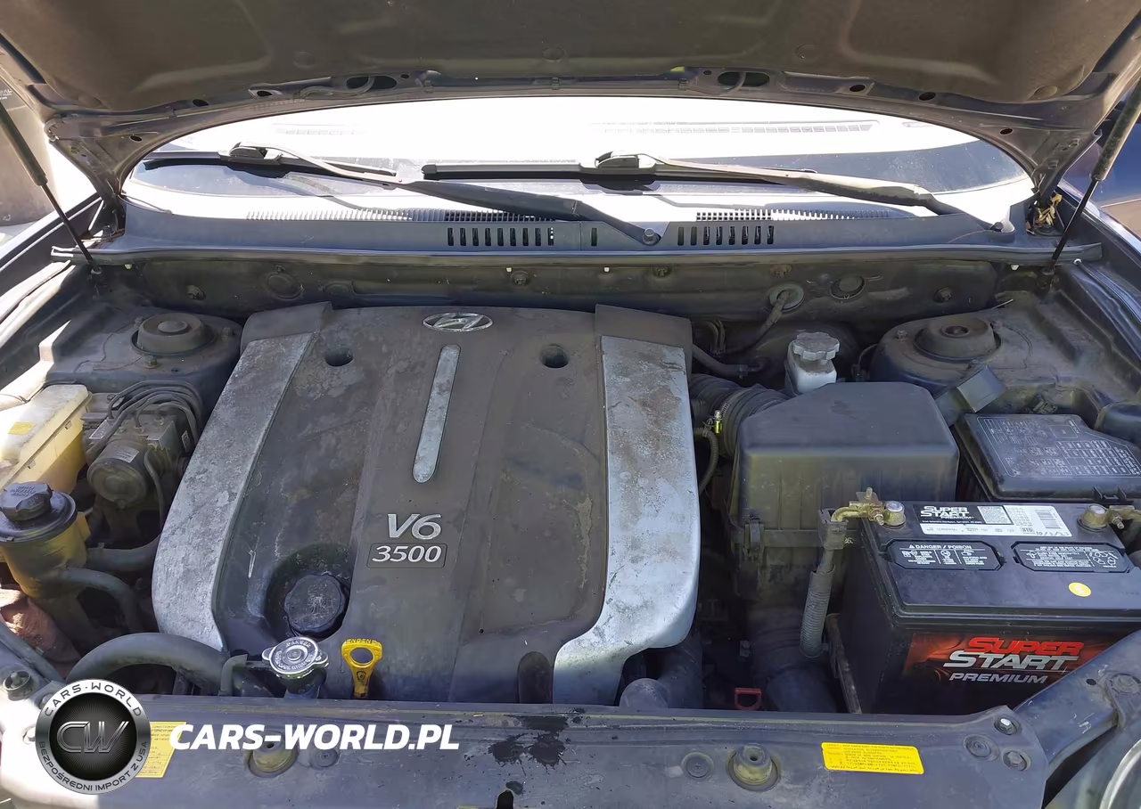 2005 Hyundai Santa Fe Gls-Lx VIN:KM8SC13E25U978475 - 10